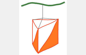 Entrainements CO CLUB 2018